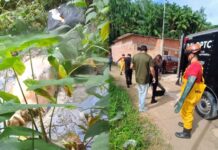 Imagens Fortes: Tronco de homem é encontrado em área de mata na Cidade de Deus em Manaus