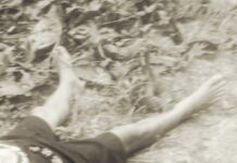 Imagens Fortes: Homem é encontrado decapitado em estrada de Boa Vista do Ramos no Amazonas