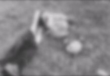 Imagens fortes: Corpo em estado de esqueletização é encontrado boiando em Tabatinga no Amazonas