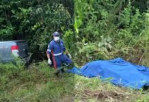 Imagens Fortes: Tragédia na BR-174 deixa três mortos após pickup atingir parada de ônibus