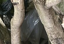 Segunda perna humana é encontrada e polícia investiga esquartejamento em Manaus