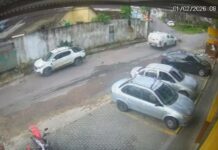 PM afasta policiais que atropelaram e mataram dois cães em Manaus