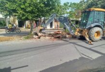 Prefeitura de Manaus derruba estruturas irregulares em canteiro central na Zona Norte