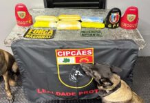 Base Arpão 2 intercepta drogas avaliadas em R$ 900 mil durante fiscalização em embarcações em Coari