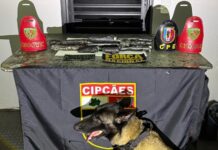 PM apreende drogas escondidas em mesa de plástico durante fiscalização no Amazonas