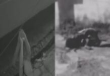 Homem é morto a pauladas na Avenida Chaves no bairro Santo Agostinho, na zona Oeste de Manaus