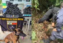 Polícia apreende 59 kg de maconha avaliada em R$ 1,1 milhão, enterrados em área de mata em Benjamin Constant no Am