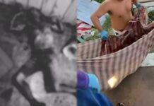Discussão entre casal acaba em homicídio no bairro Educandos em Manaus