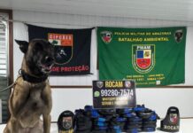Operação no Rio Solimões apreende 26 tabletes de pasta base de cocaína e causa prejuízo milionário ao tráfico no Amazonas