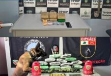 Operação Fronteira Mais Segura apreende 29 kg de drogas e prende suspeito no interior do Amazonas