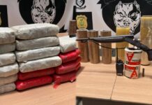 Operação da Polícia Civil desarticula núcleo do tráfico entre Manaus e Parintins e apreende 50 quilos de skunk