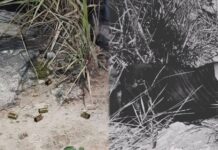 Homem é morto com cerca de 10 tiros na avenida Torquato Tapajós na zona norte de Manaus