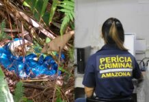 Ossada é encontrada dentro de sacola plástica na AM-010, em Manaus