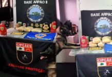 PM apreende 13 kg de drogas e prende suspeito durante operação na Base Arpão no Amazonas