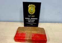 Polícia Civil apreende drogas e prende suspeito na zona norte de Manaus