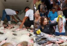 Prefeitura de Manaus inicia distribuição de 100 toneladas de peixe para 40 mil famílias na Semana Santa