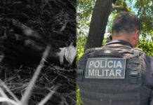 Imagens Forte: Corpo em estado esquelético e com sinais de violência foi encontrado no Distrito Industrial em Manaus