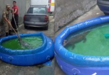 Jacaré “relaxando” em piscina surpreende família no bairro São José na zona Leste de Manaus