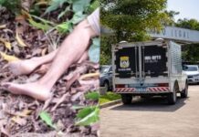 Homem é encontrado morto com sinais de violência em área de mata no Planalto na zona Centro-Oeste de Manaus