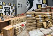 Denarc apreende 328 kg de skunk avaliados em R$ 6,5 milhões e prende suspeito em Manaus