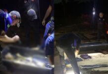Imagens Fortes: Ossada humana é encontrada em área de mata na zona leste de Manaus