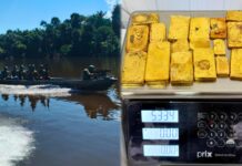 Exército apreende mais de 5 kg de ouro ilegal na fronteira do AM