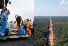 Com liderança de Eduardo Braga, obras no trecho do meio da BR-319 entram em fase de contratação