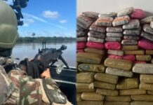 Operação CURARE apreende 300 kg de drogas na tríplice fronteira e causa prejuízo de R$ 6,8 milhões ao crime