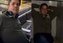 Homem atropela seis cães e tenta fugir pelo aeroporto de Manaus