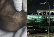 Bebê de 6 meses chega morta ao SPA e caso choca Manaus; pais são presos por suspeita de maus-tratos