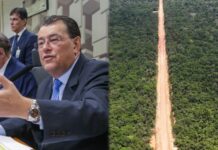 Ibama se manifesta a favor da BR-319 e enfraquece ação contra licenciamento
