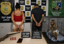 CASAL É PRESO POR TRÁFICO DE DROGAS E CRIME AMBIENTAL NO INTERIOR DO AMAZONAS