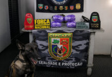 CÃO POLICIAL ATHENA LOCALIZA MAIS DE R$ 230 MIL EM DROGAS DURANTE FISCALIZAÇÃO NA BASE ARPÃO II