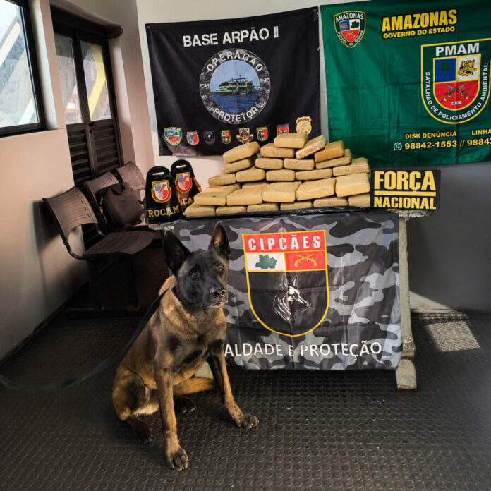 Apreensão de skunk no Amazonas realizada pela Base Fluvial Arpão 2
