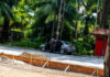 SUSPEITO DE TENTAR ASSALTAR MOTORISTA DE APP É AGREDIDO POR POPULARES NA ZONA LESTE DE MANAUS Suspeito de assalto é contido por populares na zona leste.