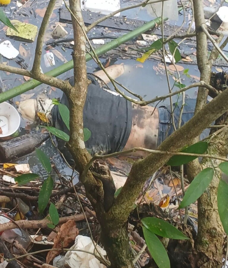 Local onde corpo foi encontrado em igarapé na Avenida Constantino Nery, em Manaus.