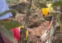 HOMEM DESAPARECIDO É ENCONTRADO MORTO EM COVA RASA NA ZONA OESTE DE MANAUS