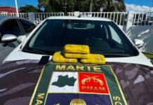 SUSPEITO DE TRÁFICO FOGE DE ABORDAGEM DO GRUPAMENTO MARTE E É PRESO COM 4 QUILOS DE DROGAS NO BAIRRO FLORES, EM MANAUS