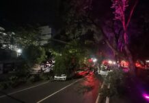 ÁRVORE CAI SOBRE DOIS VEÍCULOS NA AVENIDA GETÚLIO VARGAS E DEIXA FERIDOS EM MANAUS Árvore cai sobre veículos na Avenida Getúlio Vargas em Manaus.