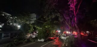 ÁRVORE CAI SOBRE DOIS VEÍCULOS NA AVENIDA GETÚLIO VARGAS E DEIXA FERIDOS EM MANAUS Árvore cai sobre veículos na Avenida Getúlio Vargas em Manaus.