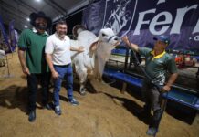 Wilson Lima retomou a Expoagro, que movimentou R$ 891 milhões em negócios entre 2019 e 2025