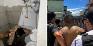 Paulo da Silva Tavares é preso suspeito de matar ex-companheira na Zona Leste de Manaus Paulo da Silva Tavares preso pela DEHS por suspeita de feminicídio em Manaus.