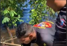 CORPO É ENCONTRADO NO RIO NEGRO, NO PURAQUEQUARA, E CASO É INVESTIGADO EM MANAUS Corpo encontrado no Rio Negro no Puraquequara em Manaus