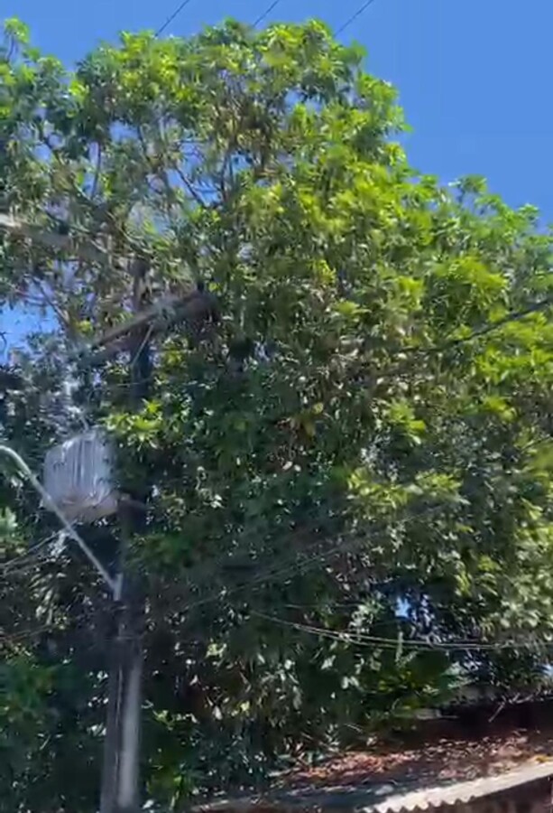 Morte de Antônio Batista dos Santos em Manaus
