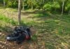 MOTOCICLISTA MORRE APÓS PERDER O CONTROLE DA MOTO E BATER EM ÁRVORE EM NOVO AIRÃO NO AMAZONAS Motociclista morre após acidente na estrada de Novo Airão.