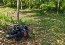 MOTOCICLISTA MORRE APÓS PERDER O CONTROLE DA MOTO E BATER EM ÁRVORE EM NOVO AIRÃO NO AMAZONAS Motociclista morre após acidente na estrada de Novo Airão.