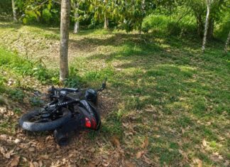 MOTOCICLISTA MORRE APÓS PERDER O CONTROLE DA MOTO E BATER EM ÁRVORE EM NOVO AIRÃO NO AMAZONAS Motociclista morre após acidente na estrada de Novo Airão.