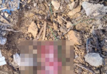Feto é encontrado em terreno baldio no bairro João Paulo