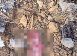 Feto é encontrado em terreno baldio no bairro João Paulo